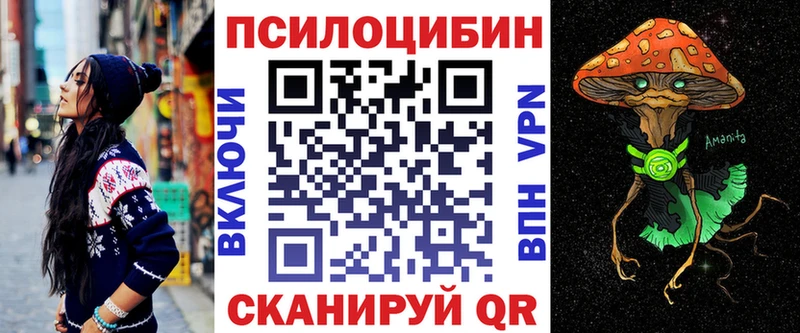 Псилоцибиновые грибы Psilocybe  где найти   Рассказово 